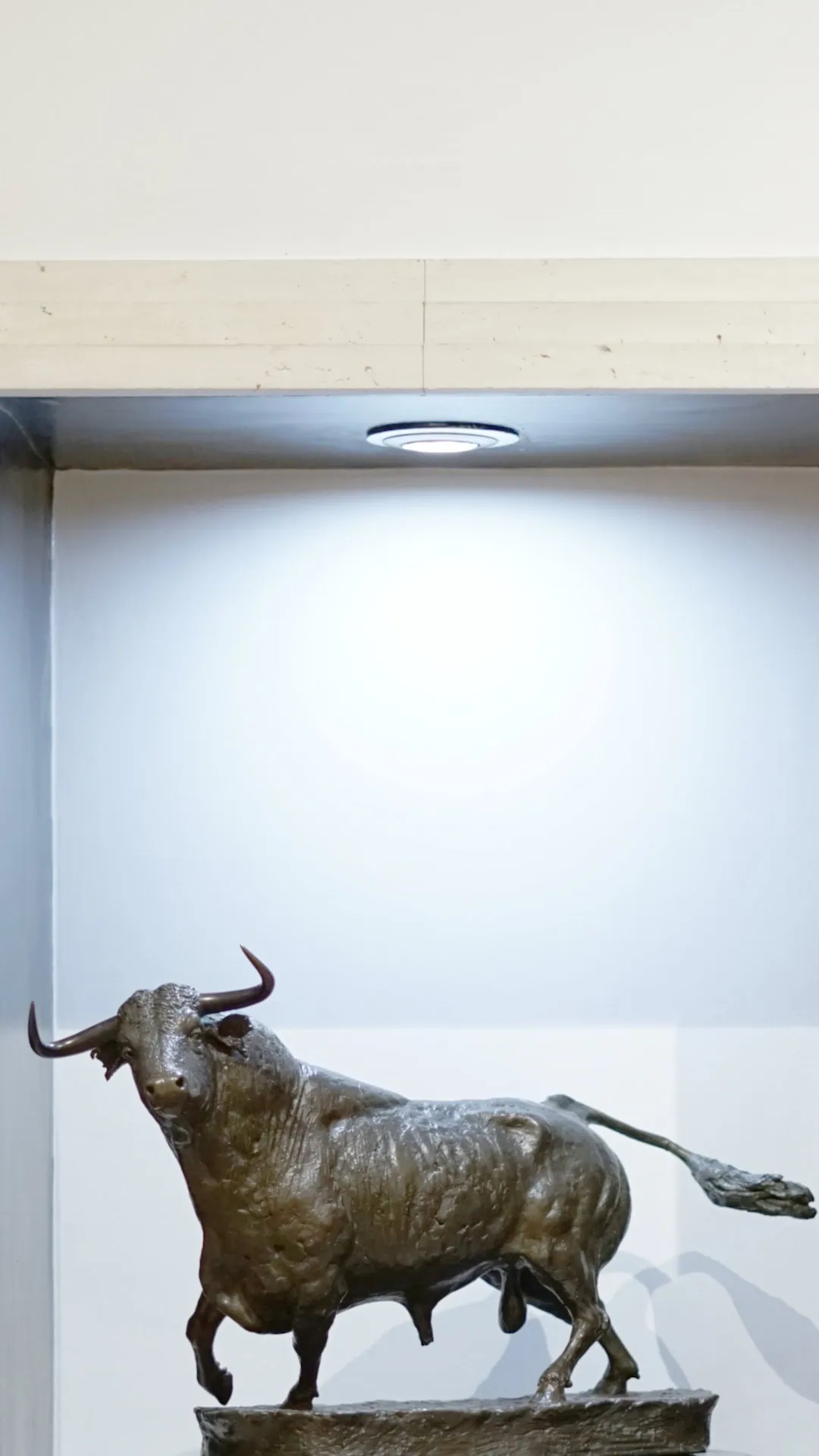 information_capacity_icon_container_image